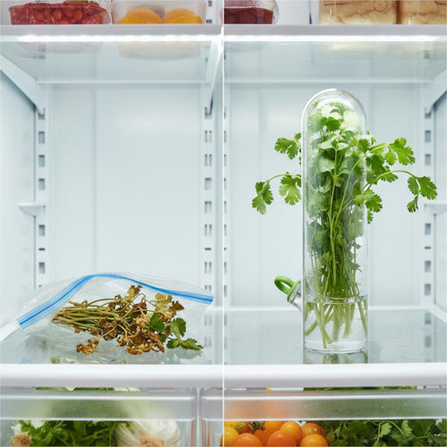 Herb Saver Pod for Fridge – Airtight Coriander & Mint Leaves Storage Container, Kitchen Organizer Box for Fresh Vegetables, Cilantro, Parsley, Garlic, Leafy Greens, BPA-Free, Multi-Compartment - Pack of 2